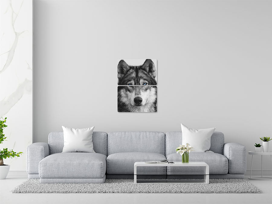 Animal 124 álló enteriőr nézet
