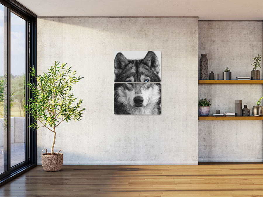 Animal 124 álló enteriőr nézet
