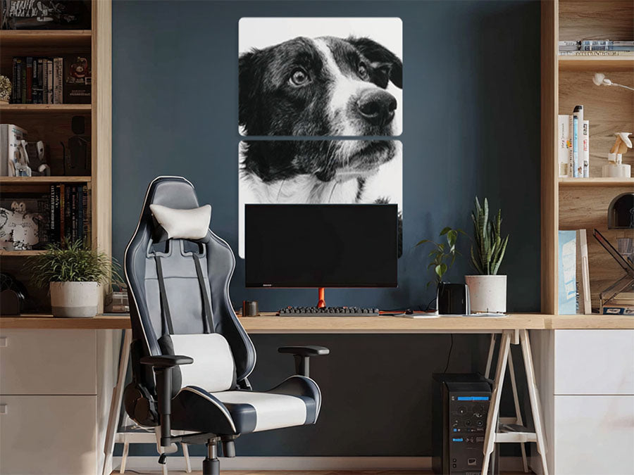 Animal 125 álló enteriőr nézet