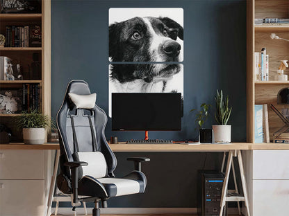 Animal 125 álló enteriőr nézet