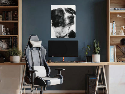 Animal 125 álló enteriőr nézet