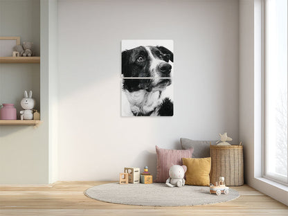 Animal 125 álló enteriőr nézet
