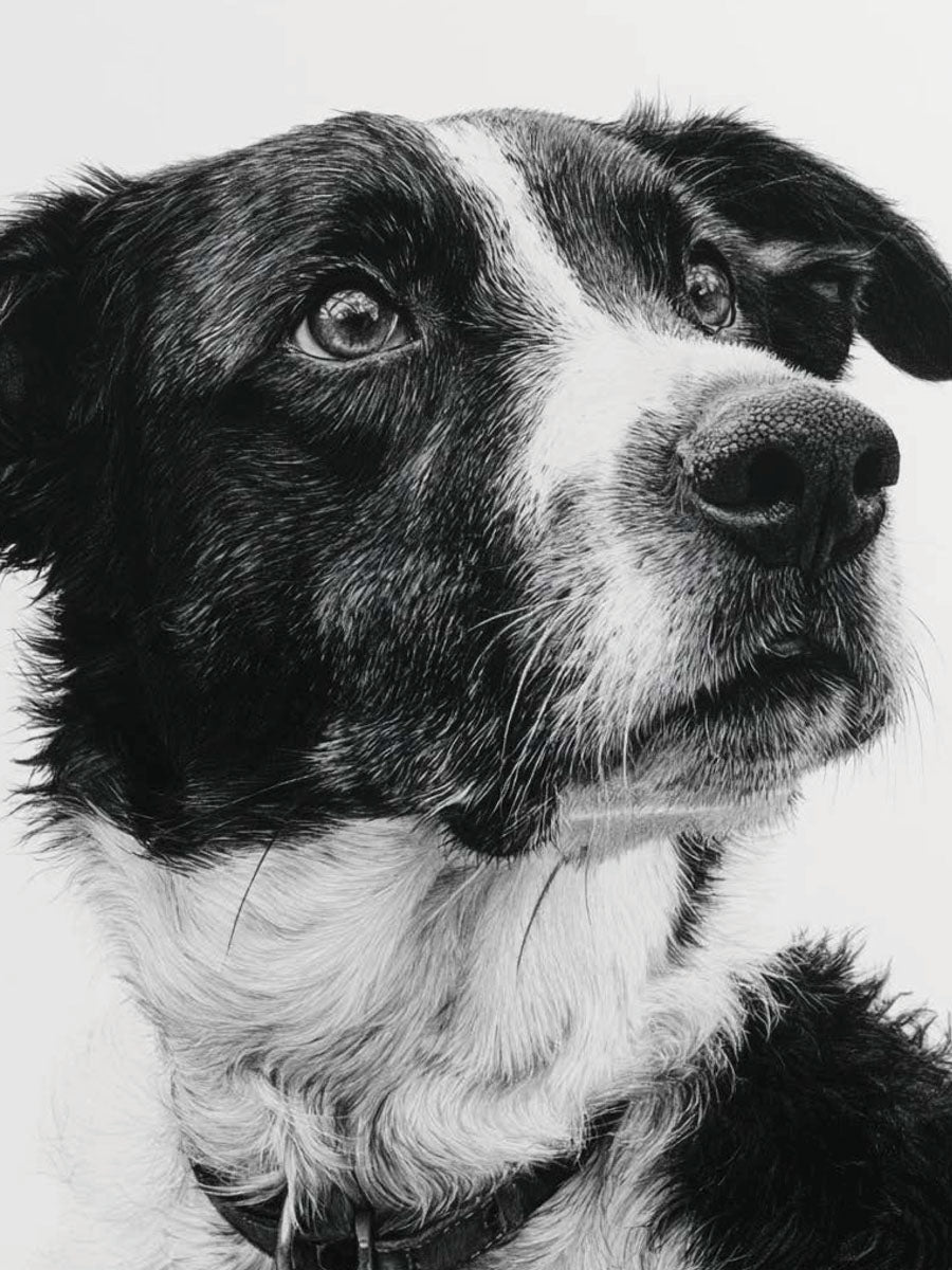Animal 125 álló fő kép