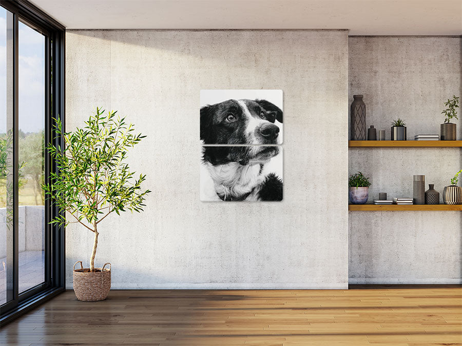 Animal 125 álló enteriőr nézet