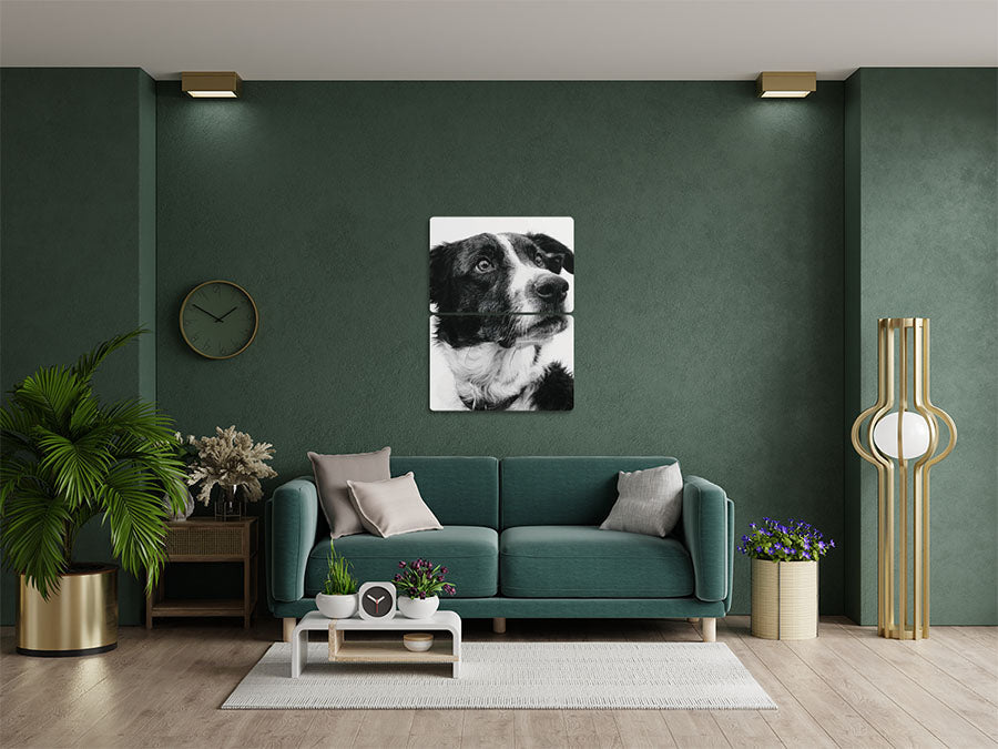 Animal 125 álló enteriőr nézet