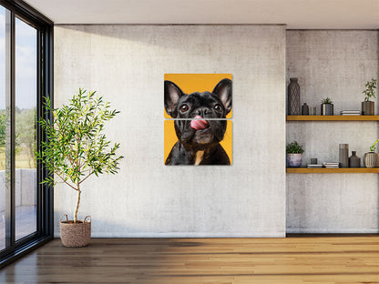 Animal 130 álló enteriőr nézet