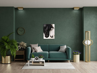 Animal 133 álló enteriőr nézet