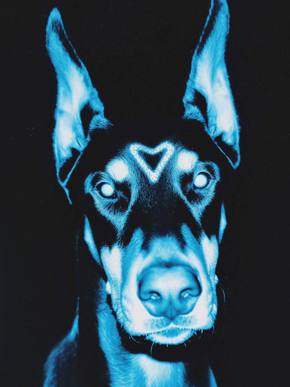 Animal 143 álló fő kép