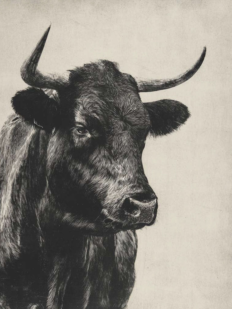 Animal 145 álló fő kép