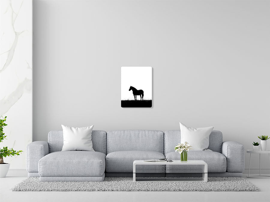 Animal 151 álló enteriőr nézet