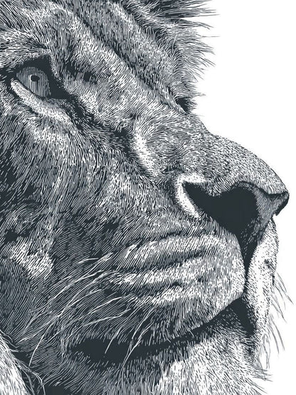 Animal 154 álló fő kép