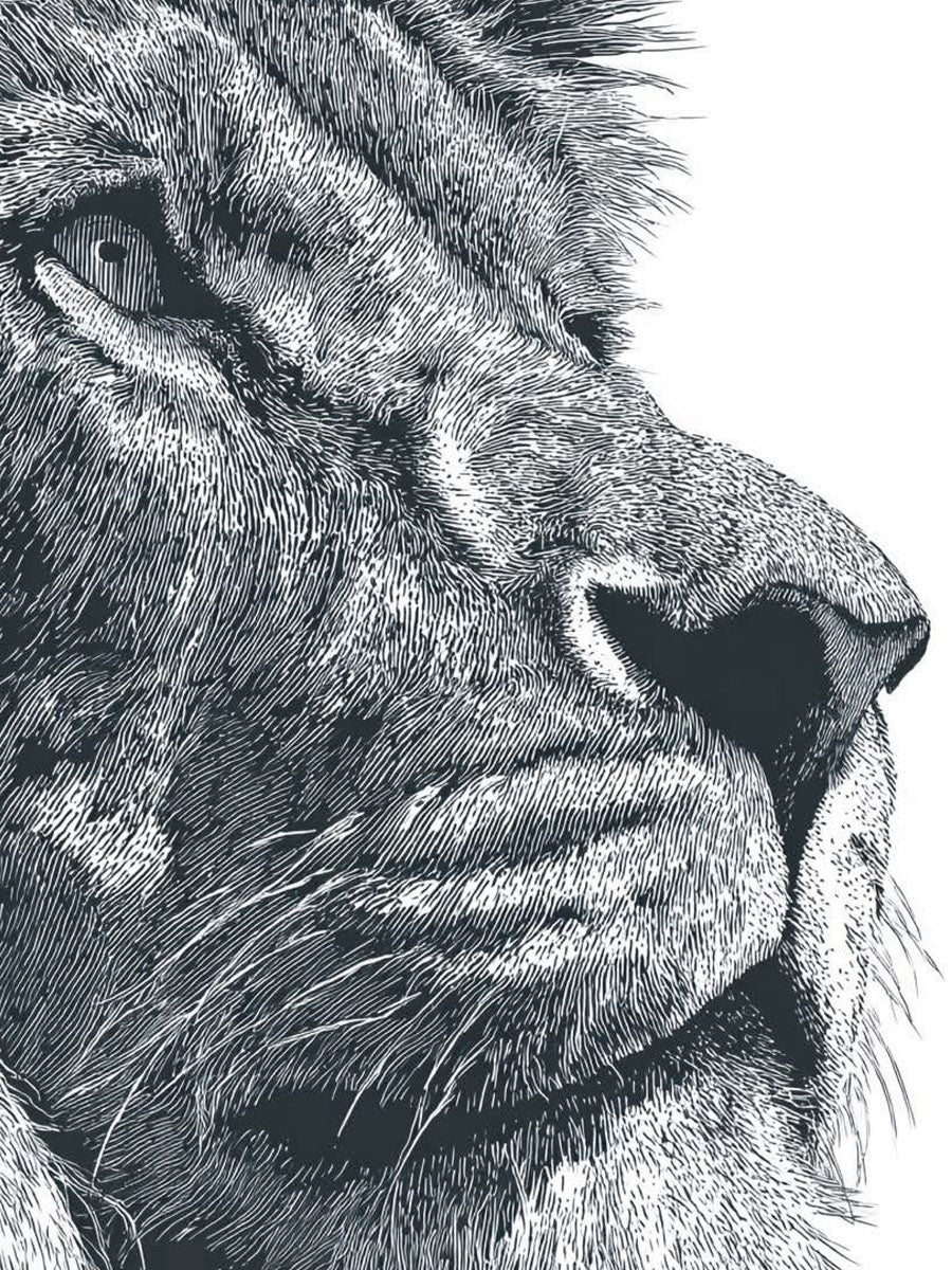 Animal 154 álló fő kép