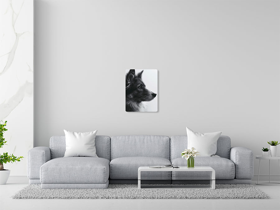 Animal 162 álló enteriőr nézet