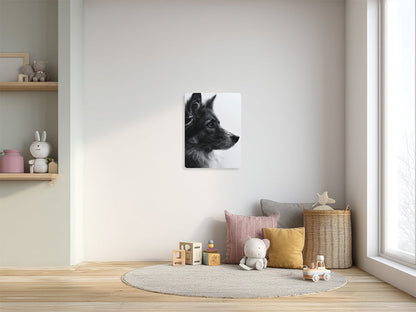 Animal 162 álló enteriőr nézet