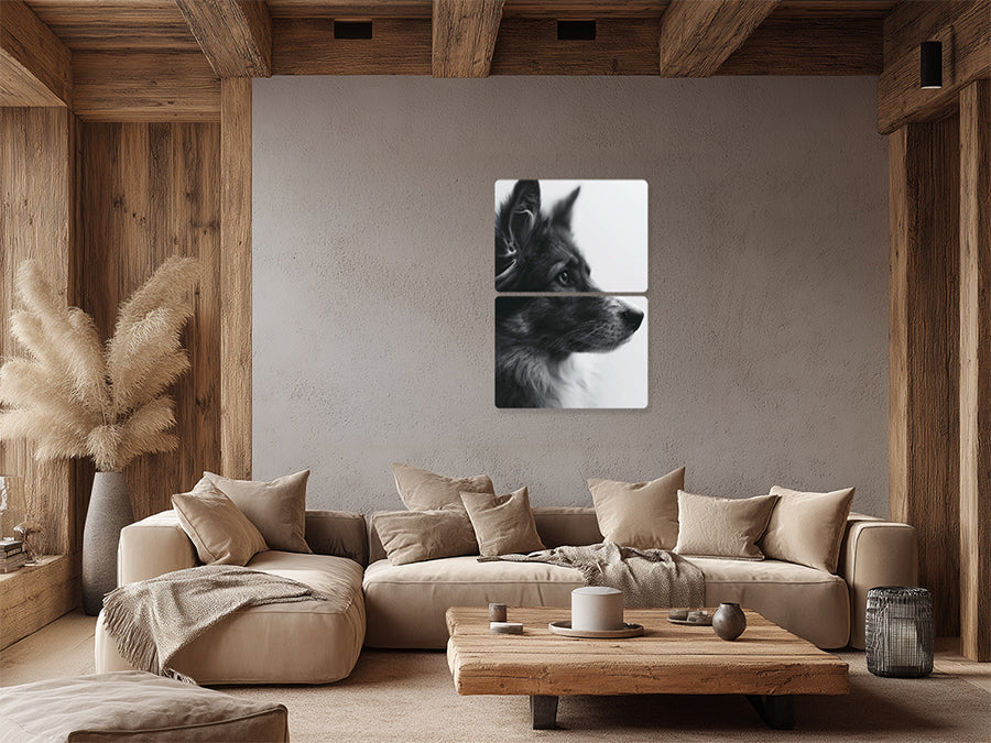 Animal 162 álló enteriőr nézet