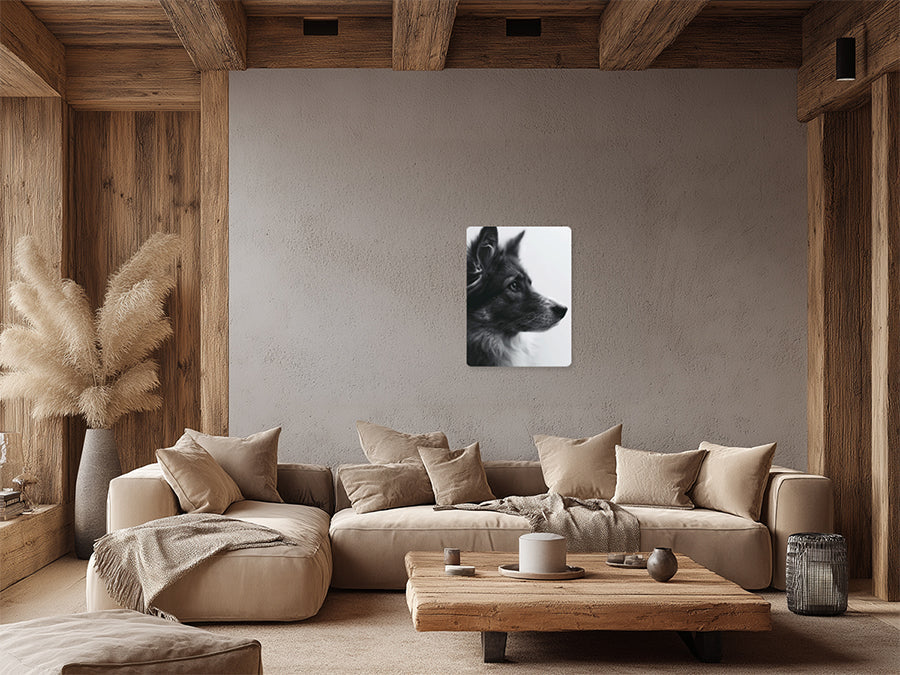 Animal 162 álló enteriőr nézet