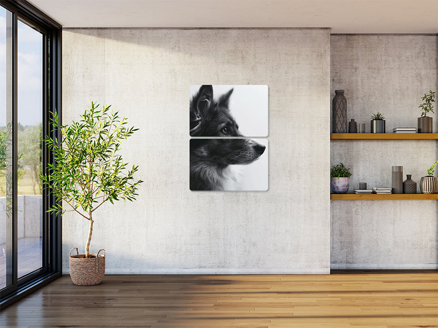 Animal 162 álló enteriőr nézet