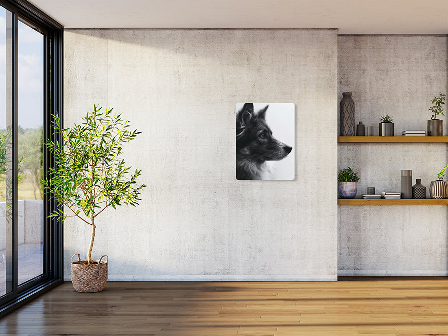 Animal 162 álló enteriőr nézet