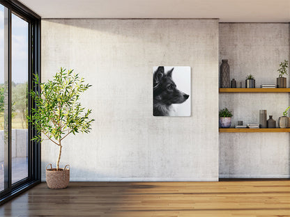 Animal 162 álló enteriőr nézet