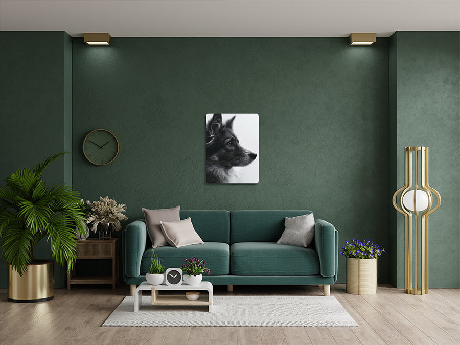 Animal 162 álló enteriőr nézet