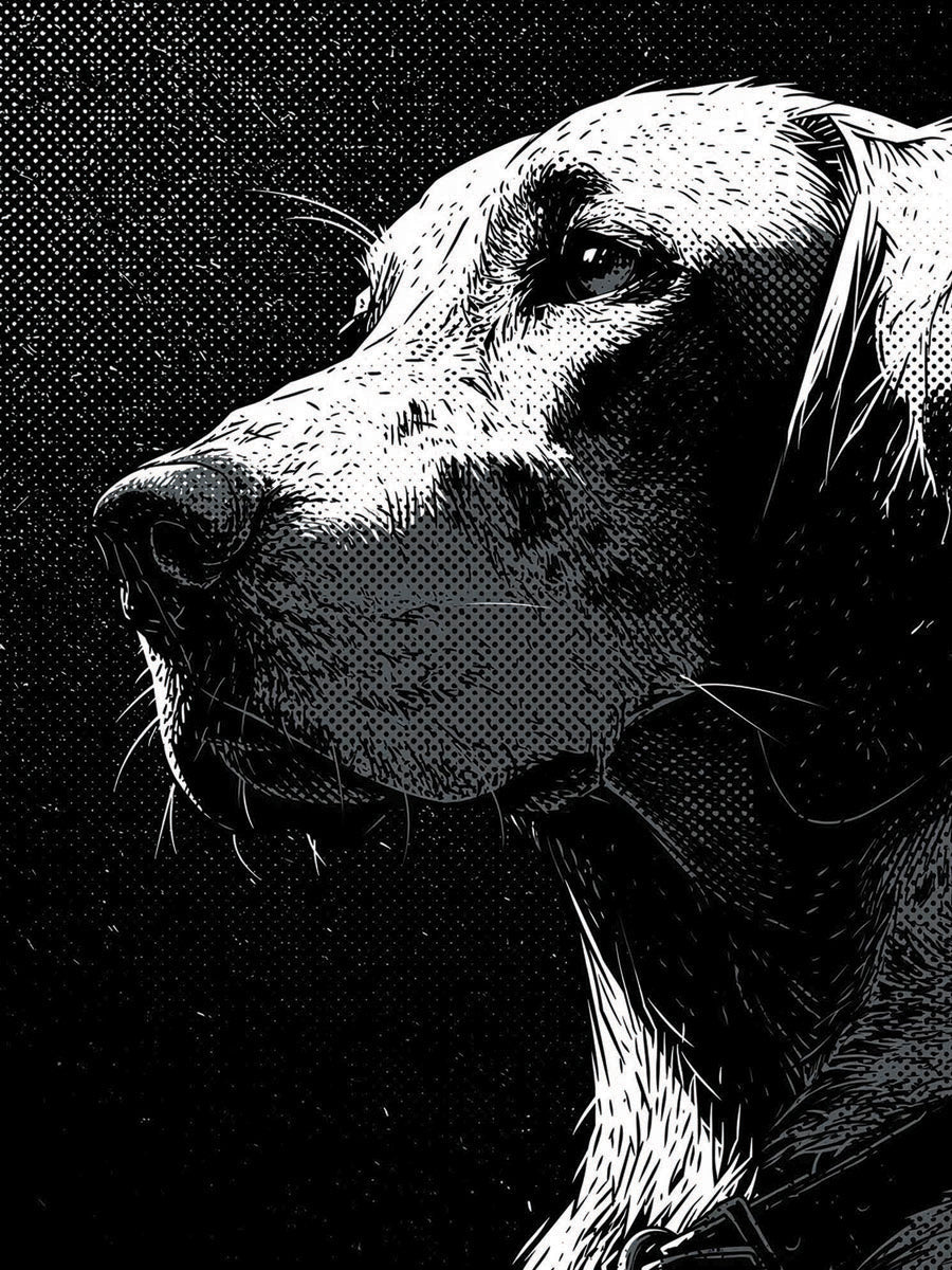 Animal 164 álló fő kép