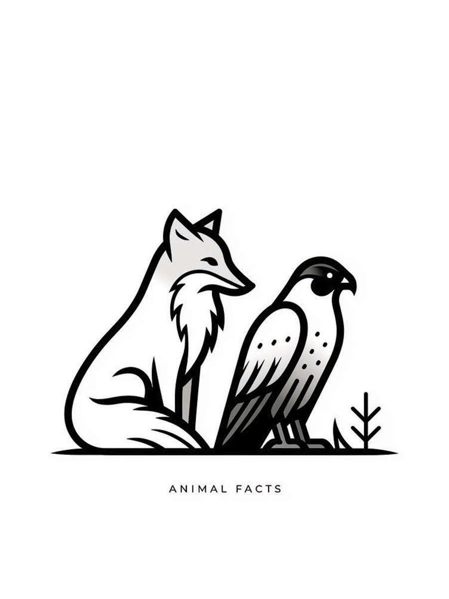 Animal 166 álló fő kép