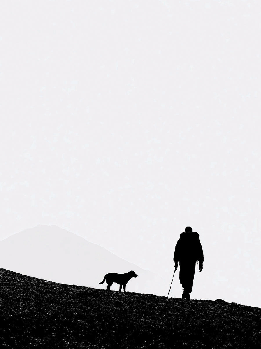 Animal 171 álló fő kép
