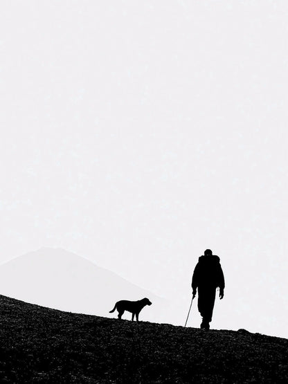 Animal 171 álló fő kép