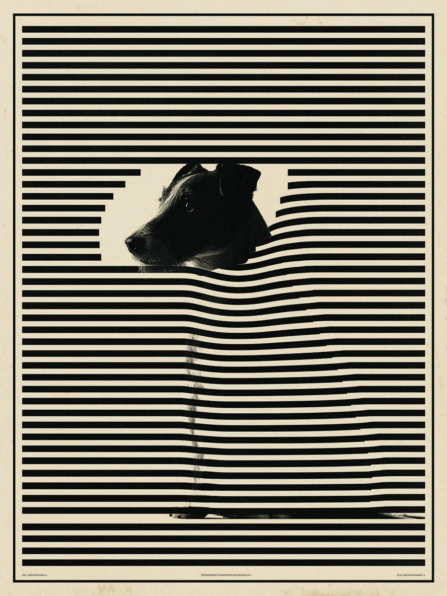 Animal 173 álló fő kép