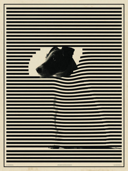 Animal 173 álló fő kép