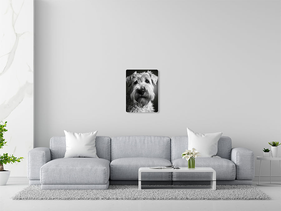 Animal 177 álló enteriőr nézet