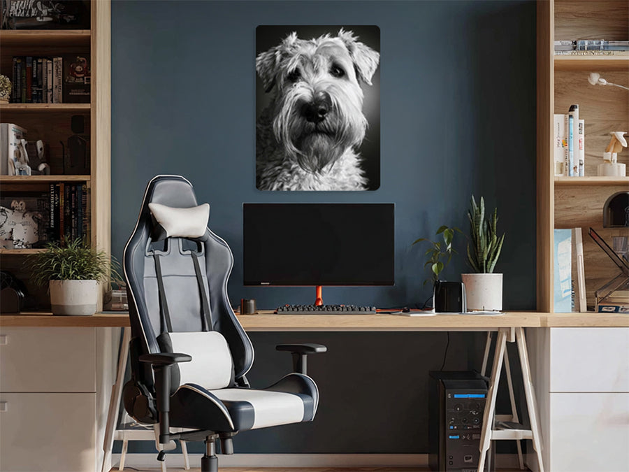 Animal 177 álló enteriőr nézet