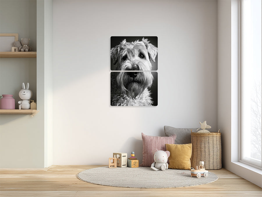 Animal 177 álló enteriőr nézet