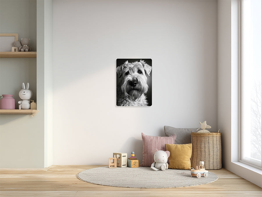 Animal 177 álló enteriőr nézet