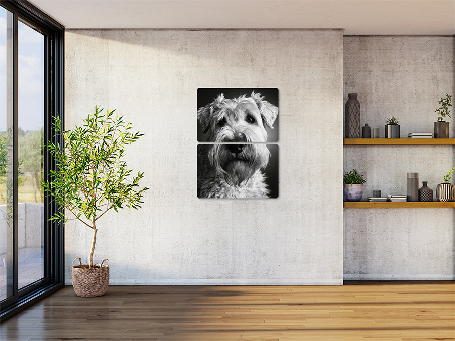 Animal 177 álló enteriőr nézet
