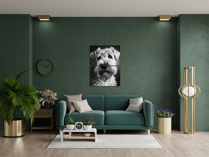 Animal 177 álló enteriőr nézet