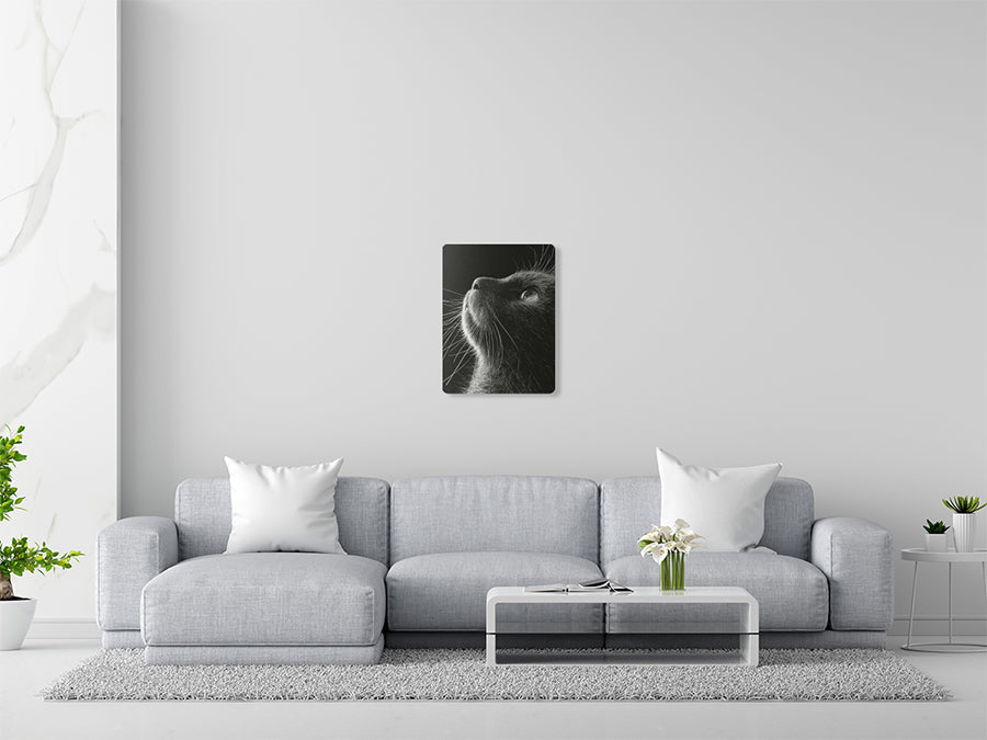 Animal 197 álló enteriőr nézet