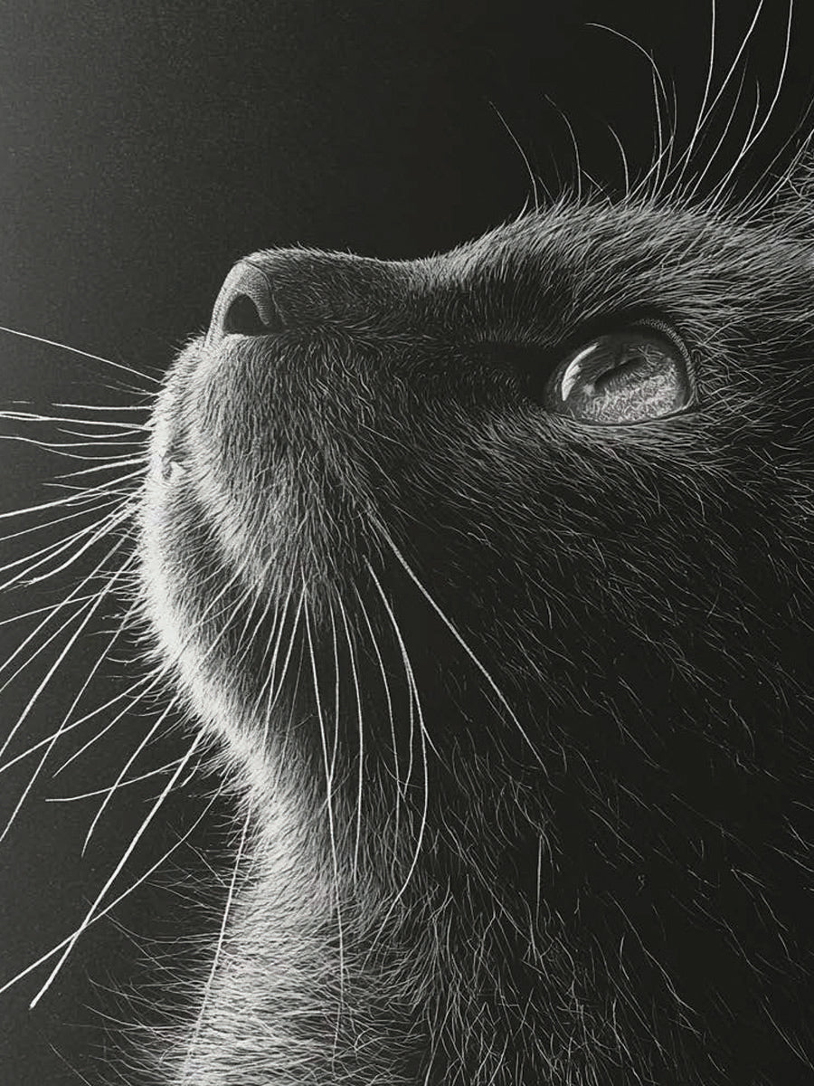 Animal 197 álló fő kép