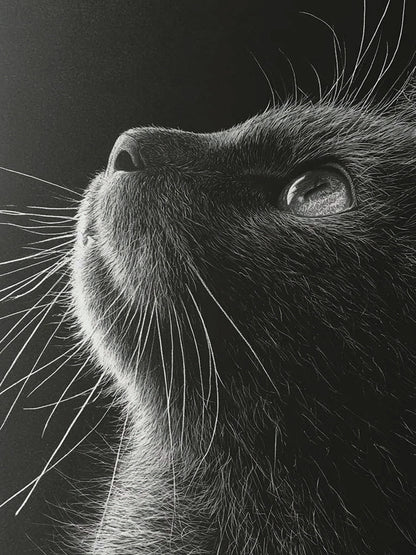 Animal 197 álló fő kép