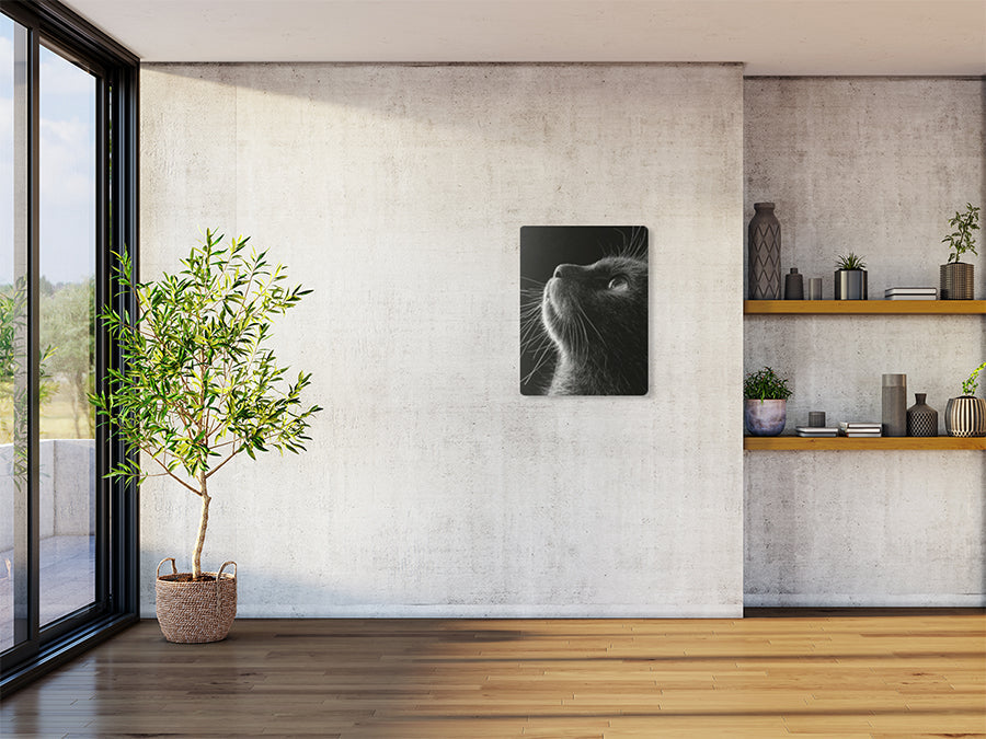 Animal 197 álló enteriőr nézet