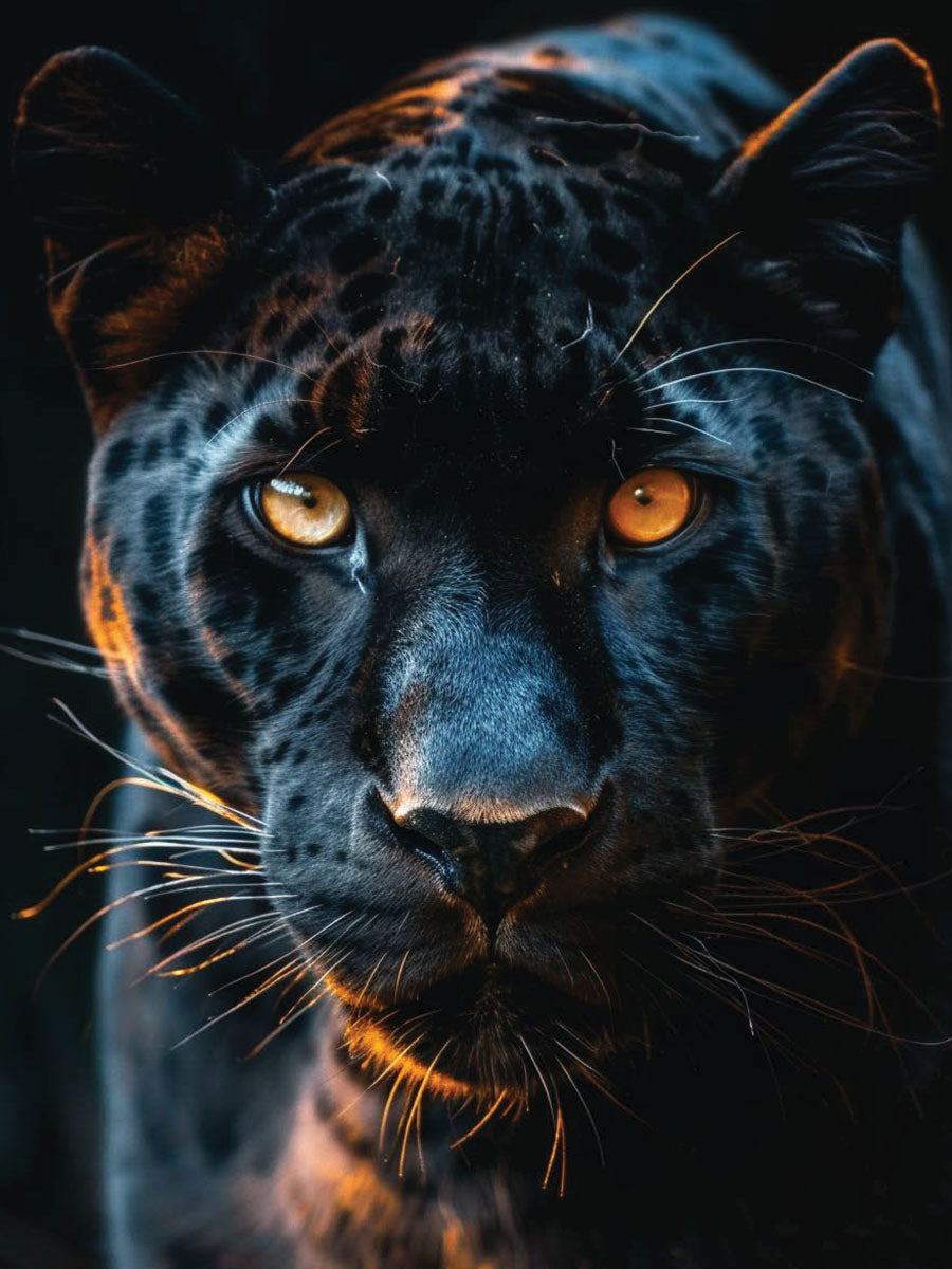 Animal 24 álló fő kép