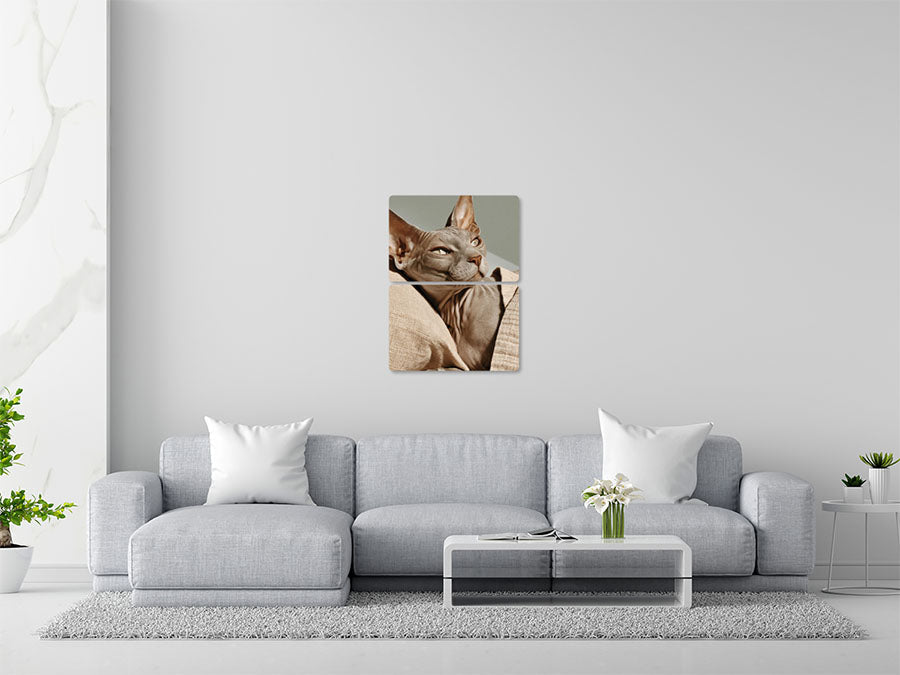 Animal 29 álló enteriőr nézet