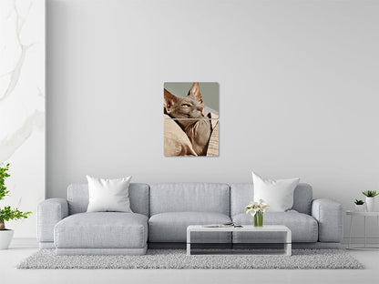 Animal 29 álló enteriőr nézet
