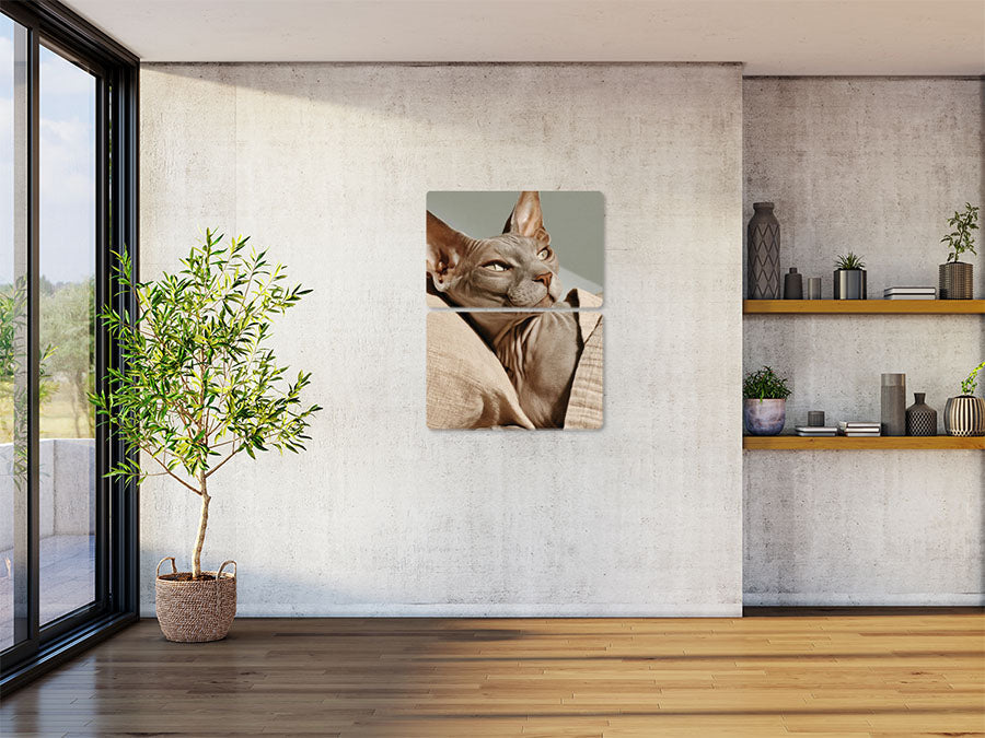 Animal 29 álló enteriőr nézet