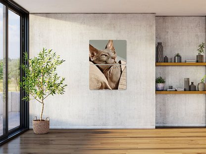 Animal 29 álló enteriőr nézet