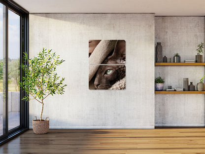Animal 3 álló enteriőr nézet