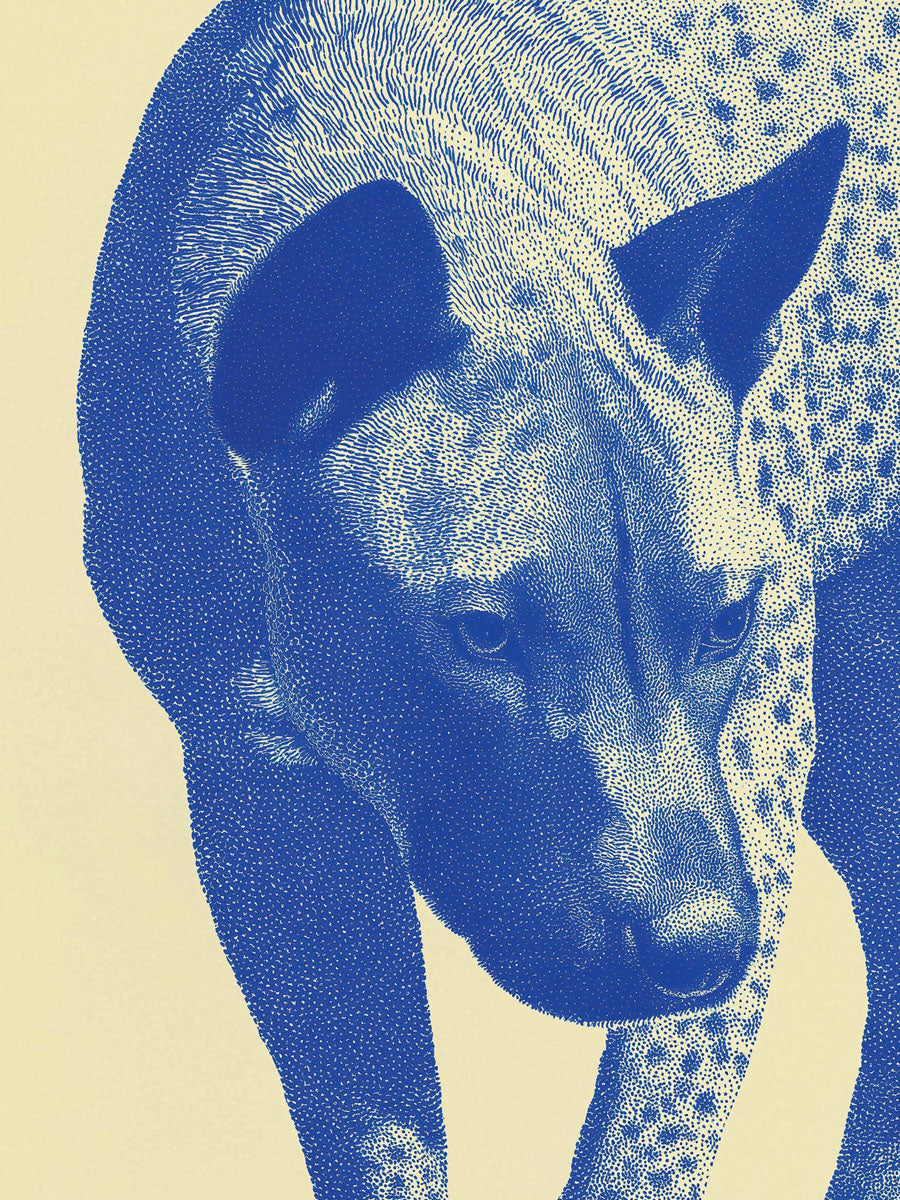 Animal 40 álló fő kép