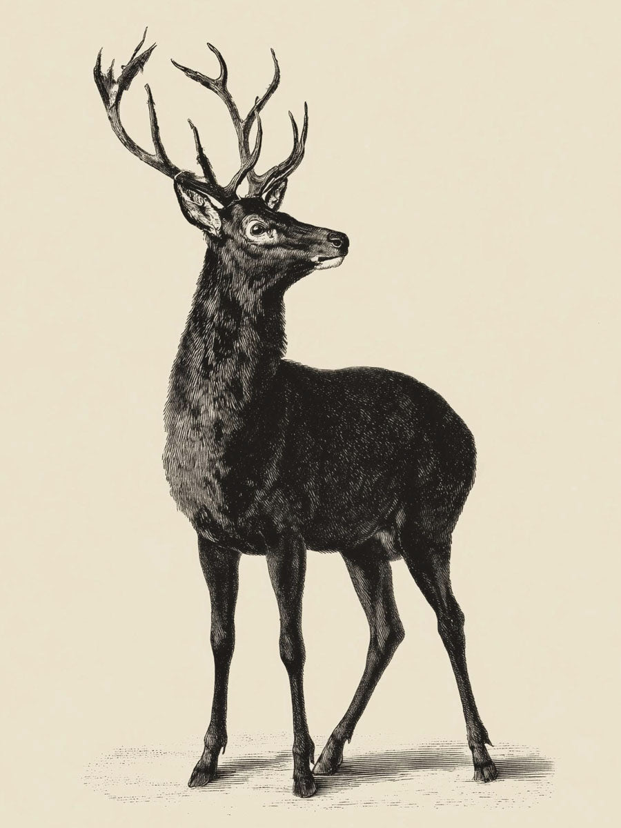 Animal 49 álló fő kép