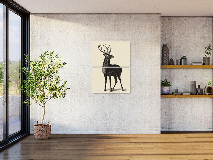 Animal 49 álló enteriőr nézet