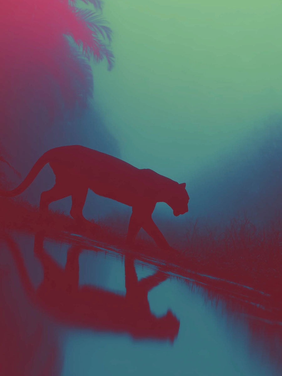 Animal 50 álló fő kép